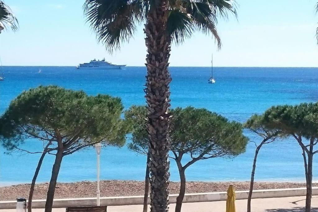 T3 Sur La Plage Vue Feerique Mer,Wifi, Parking Inclus , Clim 라시오타 외부 사진